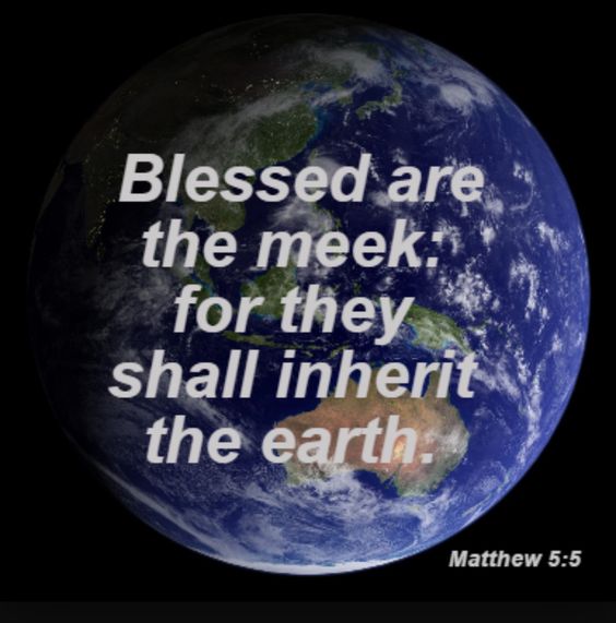 ‘The meek shall inherit the earth.’ - Pam C Golden